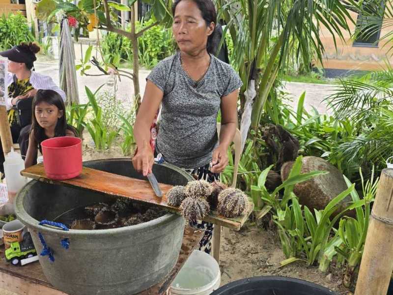 41年ぶりのセブ島（ボラカイ島の思い出）